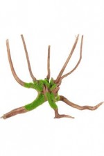 Akvarijní dekorace Kipouss Pavoučí kořen M Zolux
