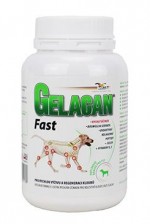 Gelacan Fast 150g