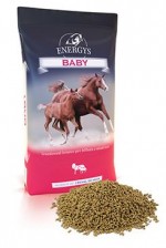 Krmivo koně ENERGY´S Baby gra 25kg