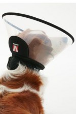 Límec ochranný BUSTER plastový Complete Collar 12,5 cm