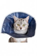 Límec ochranný BUSTER textilní netkaný pro kočky 10ks