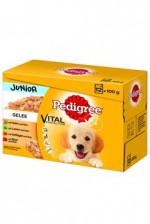 Pedigree kapsa Junior 12pack x100g