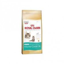 Royal canin Breed  Feline Kitten Maine Coon  400g