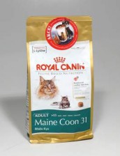 Royal canin Breed  Feline Maine Coon  400g